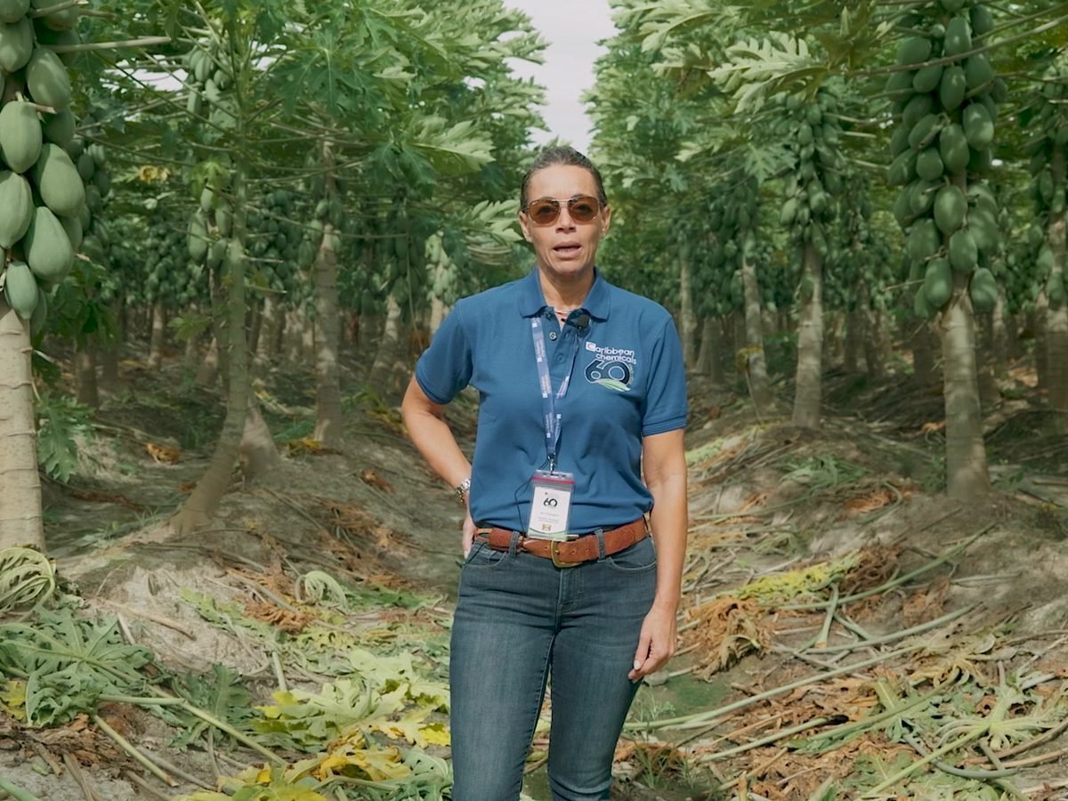 Brand film example