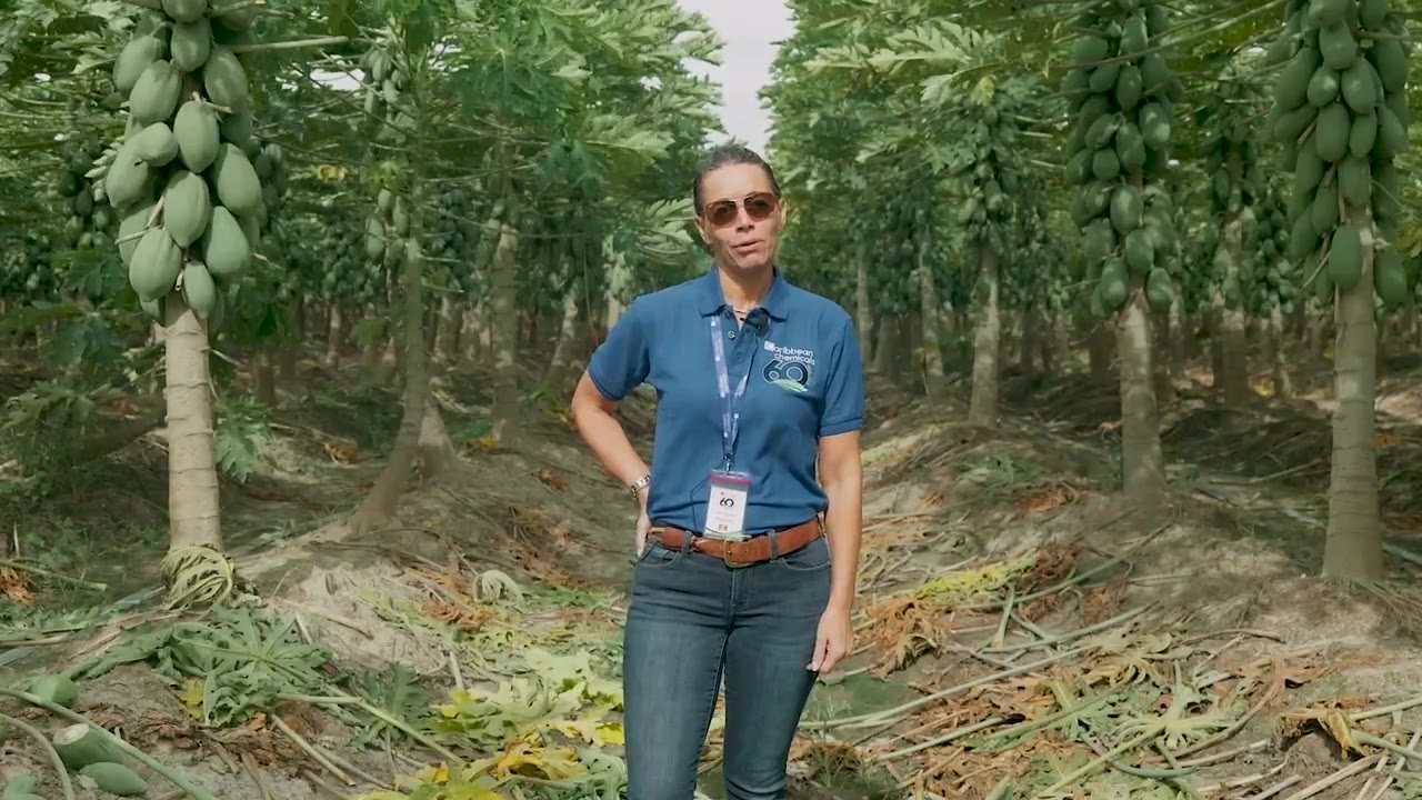 Inside Caribbean Chemicals, Brand film by AESA